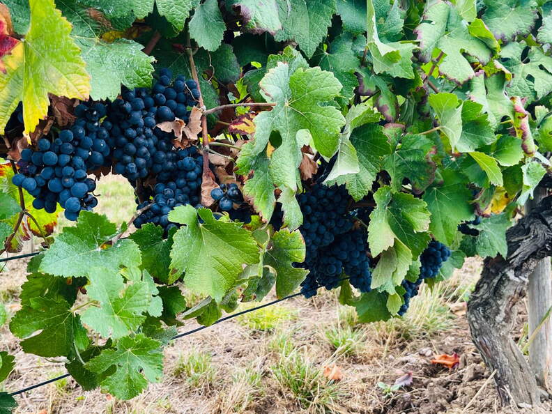 22-09-10 17-33-00 1958